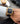 Paul Rich US Astro Mason Gold Luxury Watch