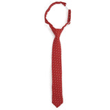 Apple - Boys Tie