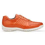 Astor in Orange