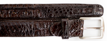 Belvedere Caiman Belt in Brown in Brown 44