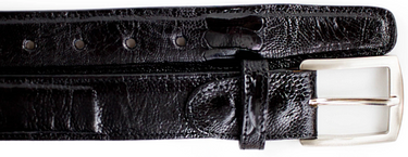 Belvedere Ostrich Leg Belt in Black in Black 44