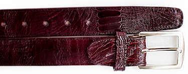 Belvedere Ostrich Leg Belt in Dark Burgundy in Dark Burgundy 44