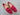 Carrucci Shoes Bow Tie Patent Leather Oxford