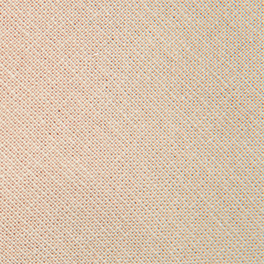 Champagne - Boys Bow TIe — view 2