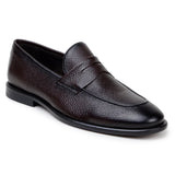 Belvedere Nohr in Brown