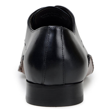 Belvedere Maestro in Black