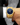 Paul Rich US Frosted Star Dust II Gold Watch