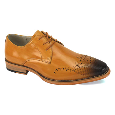 Giovanni Owen Lace Up Perforated Leather Oxford in Scotch #color_ Scotch