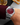 Paul Rich US Star Dust II Pasha's Ruby Watch