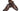 Paul Parkman Men's Brown Genuine Ostrich Oxford Shoes