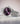 Paul Rich US Legacy Silver Plum Dress Watch