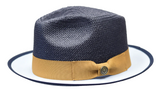 Sebastian Collection in Navy Blue Light Blue Tan