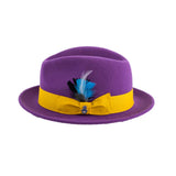 Ferrecci Brooks in Purple Australian Wool Felt Trilby