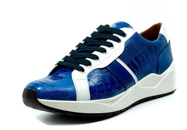 Lyon In Blue / White