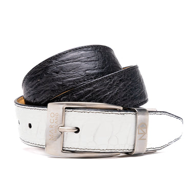Alessio Belt White / Black in White Black