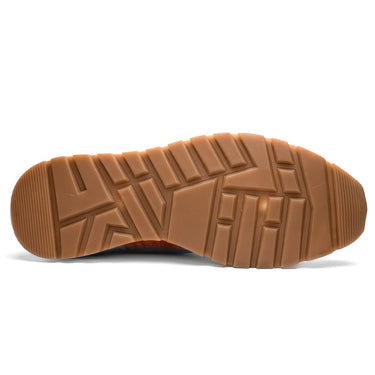 Alonzo In Cognac