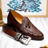 Domenico In Brown