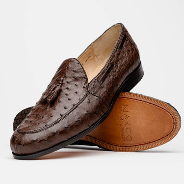 Aubiere In Brown in Brown