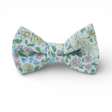 Blooming- Boys Bow Tie