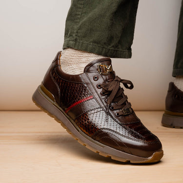 Brescia In Brown