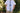 Cape Cod Floral - Boys Tie — view 5