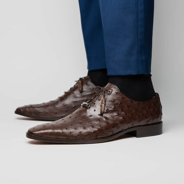 Criss In Brown
