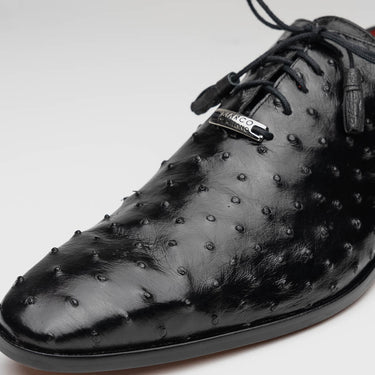 Criss In Black