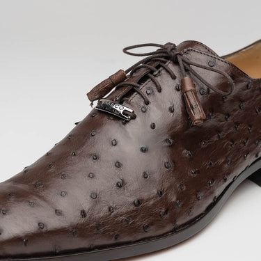Criss In Brown