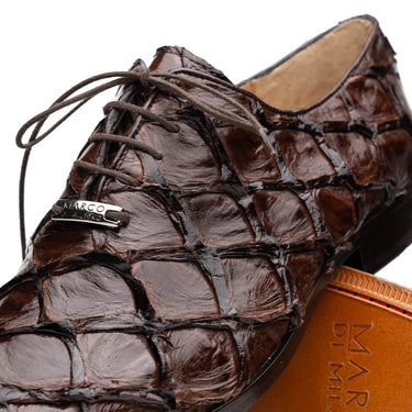 Olivieri In Brown