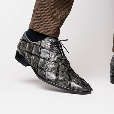 Olivieri In Gray
