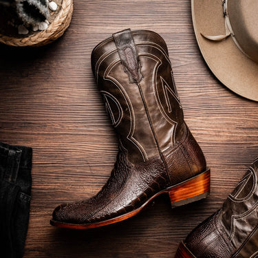 Denver In Brown