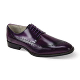 Triston in Purple