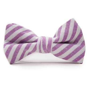 Iris Stripe - Boys Bow TIe