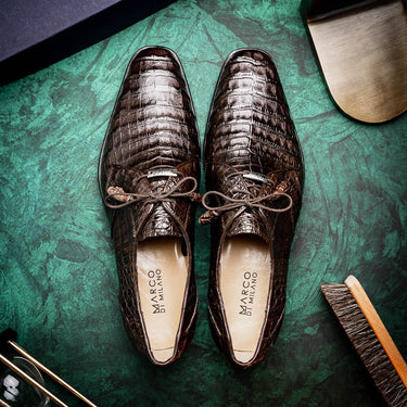 Lacio In Brown