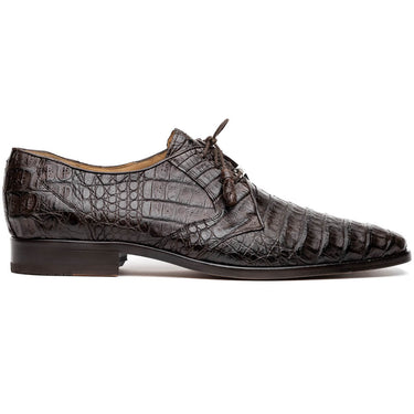 Lacio In Brown