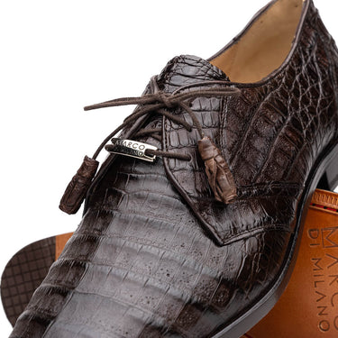 Lacio In Brown