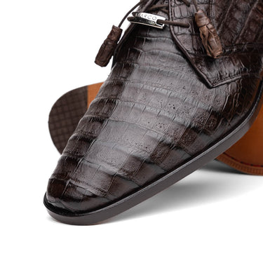 Lacio In Brown