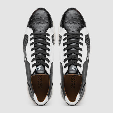 Lyon In Black / White