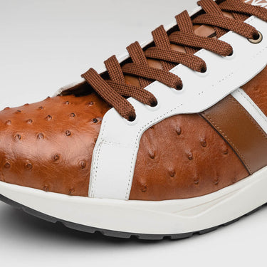 Lyon In Brandy / White
