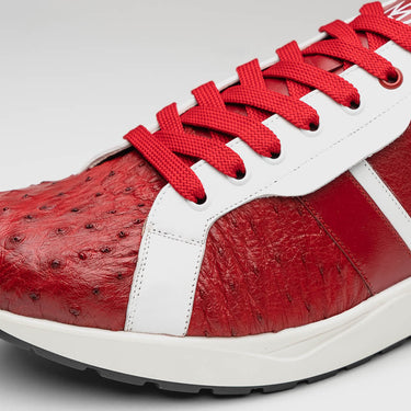 Lyon In Red / White