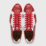 Lyon In Red / White