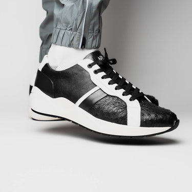 Lyon In Black / White