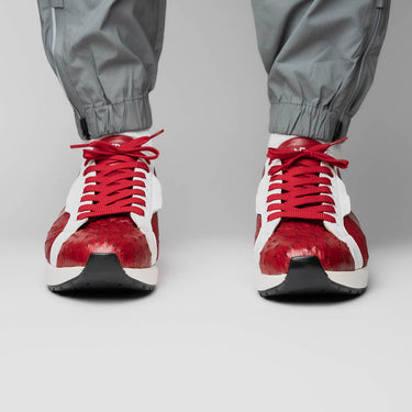 Lyon In Red / White