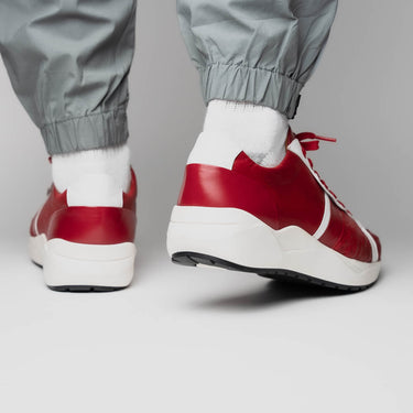 Lyon In Red / White