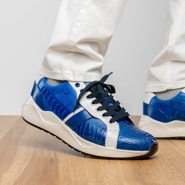 Lyon In Blue / White
