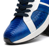 Lyon In Blue / White