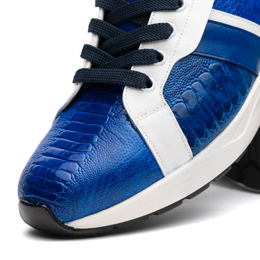 Lyon In Blue / White