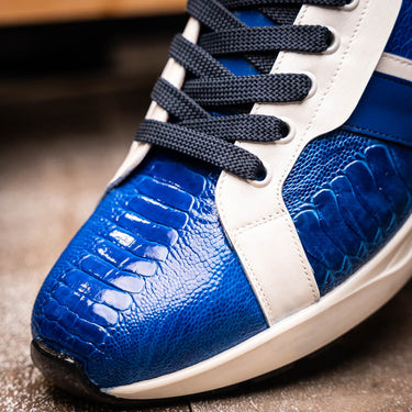 Lyon In Blue / White