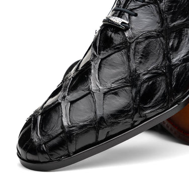 Olivieri In Black