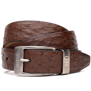 Domenico In Brown in Brown